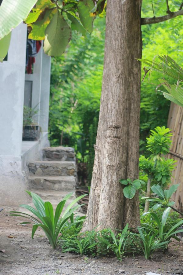 Apartmán Rimba Bungalow Kuta  Exteriér fotografie